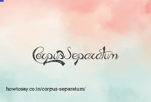 Corpus Separatum