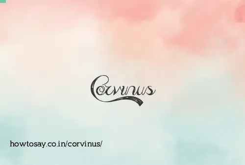 Corvinus