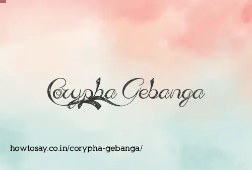 Corypha Gebanga