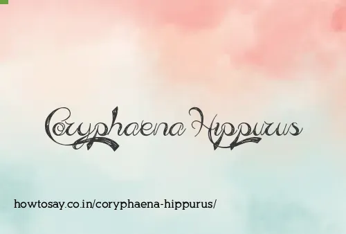 Coryphaena Hippurus