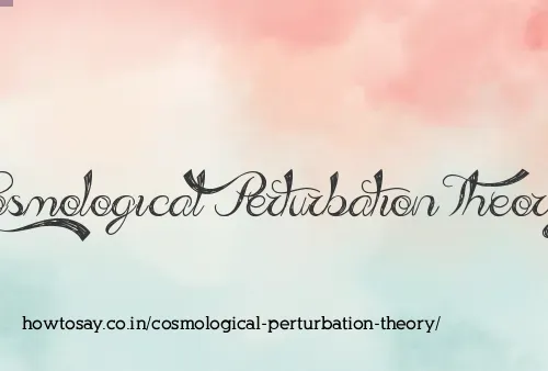 Cosmological Perturbation Theory