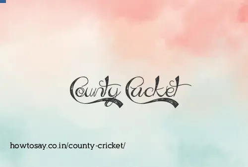 County Cricket