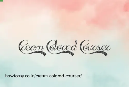 Cream Colored Courser