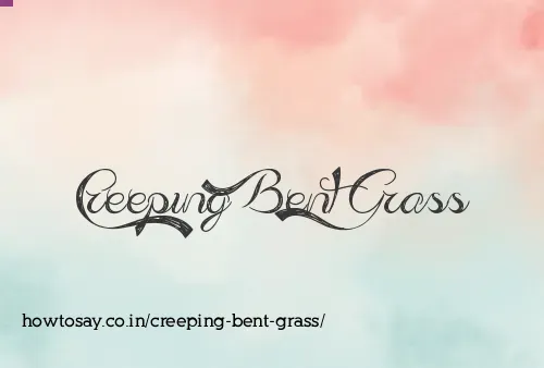 Creeping Bent Grass