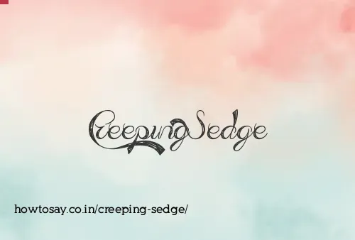 Creeping Sedge
