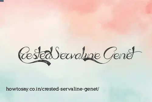 Crested Servaline Genet