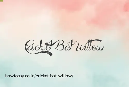 Cricket Bat Willow