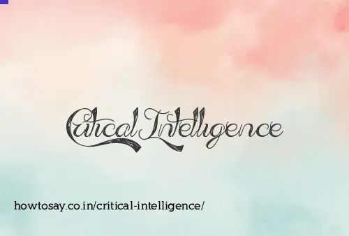 Critical Intelligence