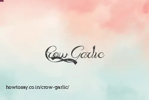 Crow Garlic