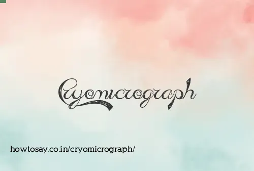 Cryomicrograph