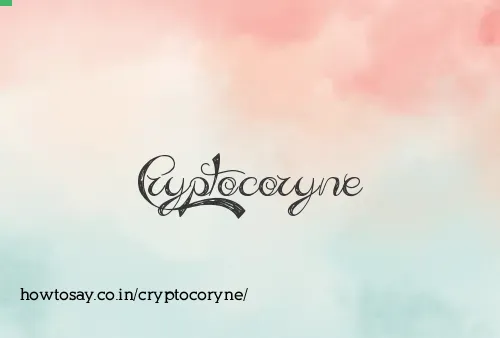 Cryptocoryne