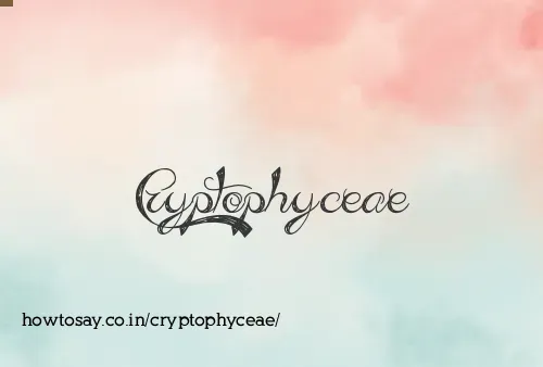 Cryptophyceae