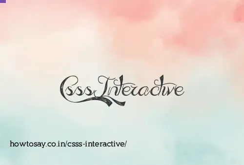 Csss Interactive