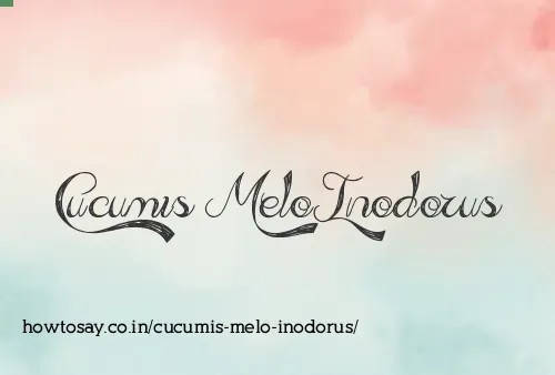 Cucumis Melo Inodorus