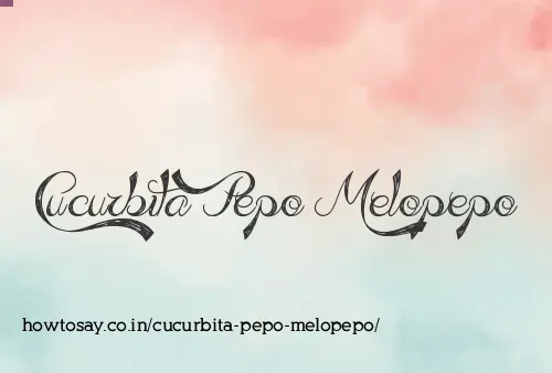Cucurbita Pepo Melopepo