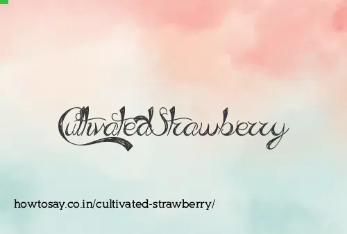 Cultivated Strawberry