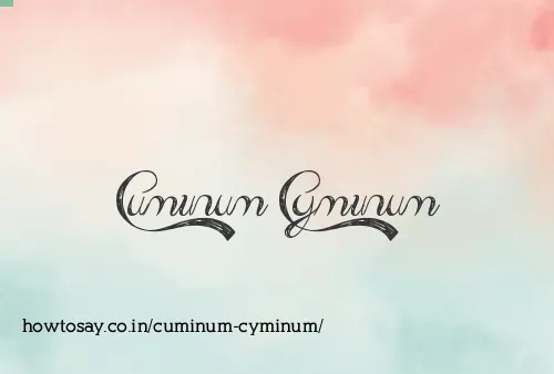 Cuminum Cyminum