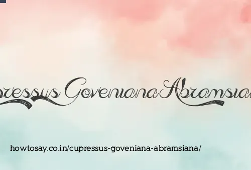 Cupressus Goveniana Abramsiana