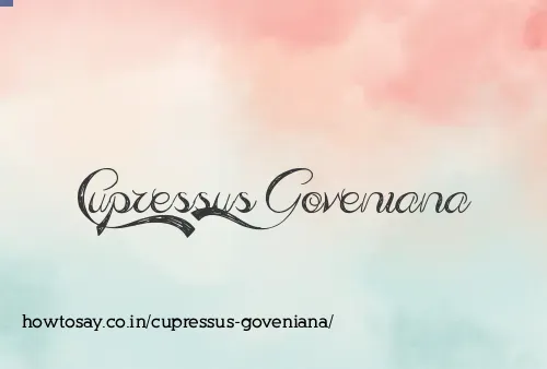 Cupressus Goveniana