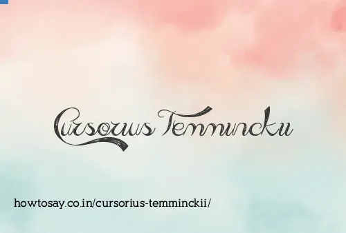 Cursorius Temminckii
