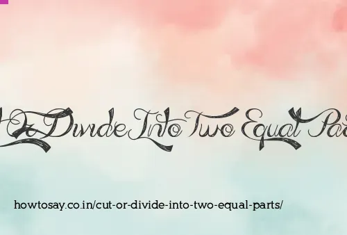 Cut Or Divide Into Two Equal Parts