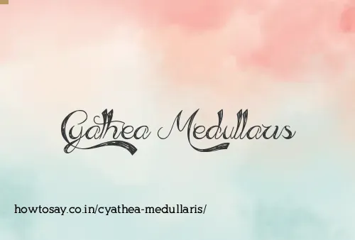 Cyathea Medullaris
