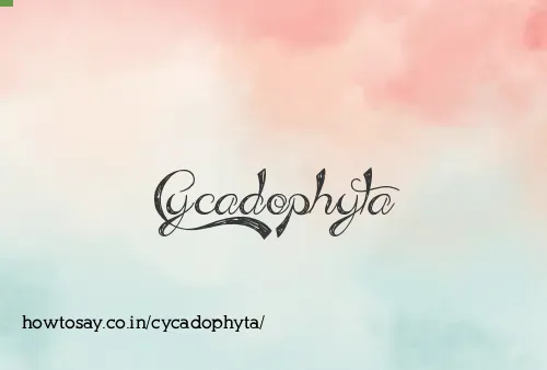Cycadophyta