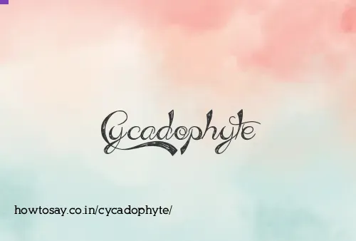 Cycadophyte