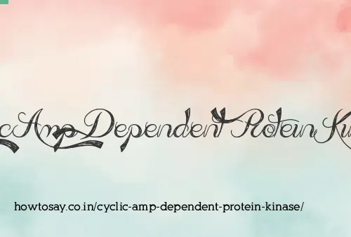 Cyclic Amp Dependent Protein Kinase