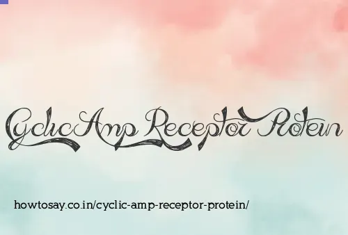 Cyclic Amp Receptor Protein