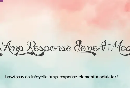 Cyclic Amp Response Element Modulator
