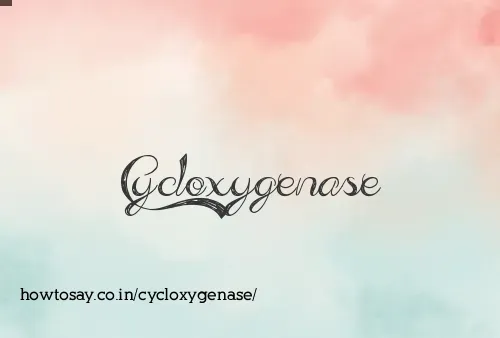 Cycloxygenase