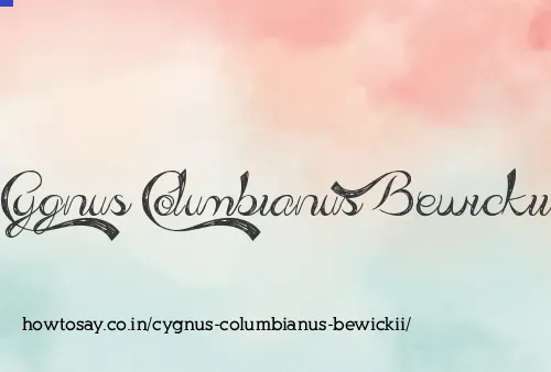 Cygnus Columbianus Bewickii