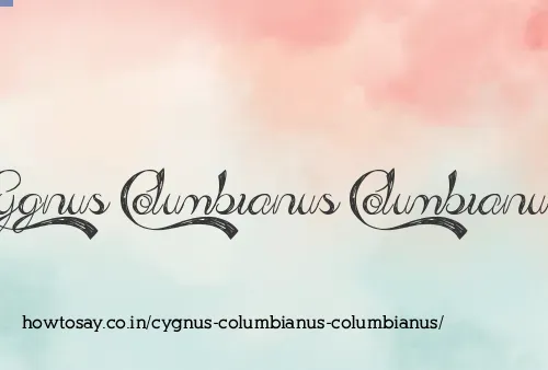 Cygnus Columbianus Columbianus