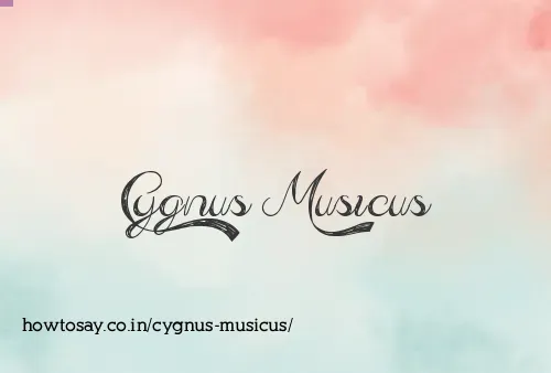Cygnus Musicus