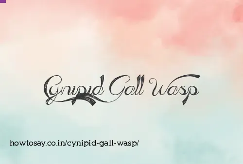 Cynipid Gall Wasp