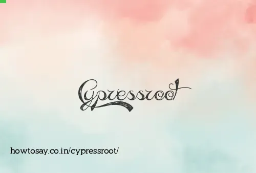 Cypressroot
