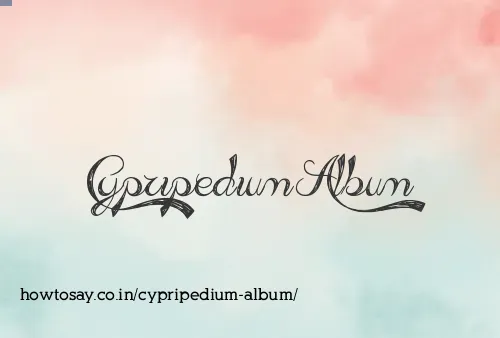 Cypripedium Album