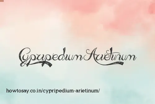 Cypripedium Arietinum