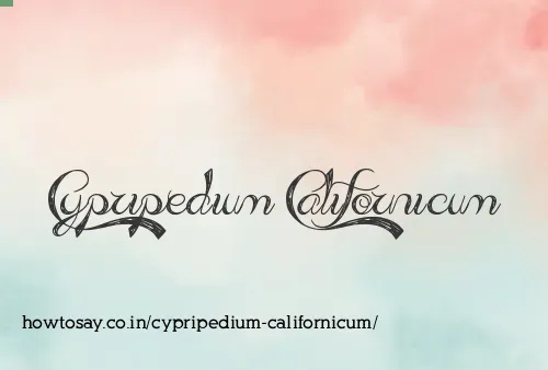 Cypripedium Californicum