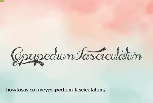Cypripedium Fasciculatum