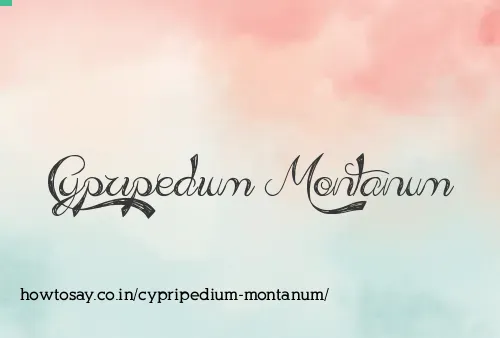 Cypripedium Montanum