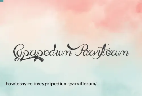 Cypripedium Parviflorum
