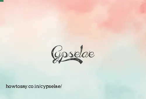 Cypselae