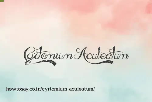 Cyrtomium Aculeatum