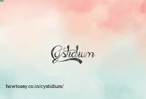 Cystidium