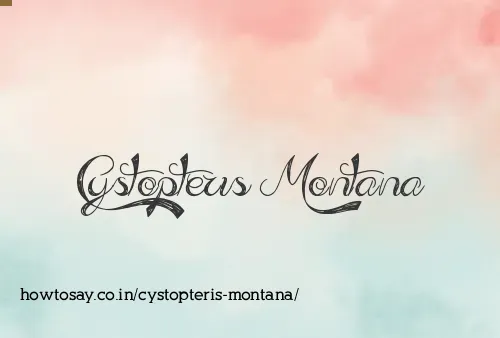 Cystopteris Montana