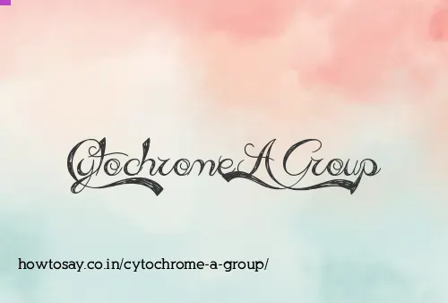 Cytochrome A Group