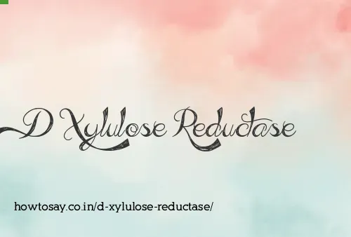 D Xylulose Reductase