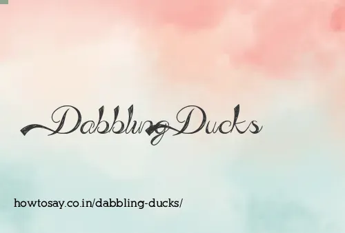 Dabbling Ducks